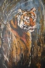 Werk 'Tiger' von 'Andrea Plank'