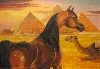 Arabian horse with pyramids