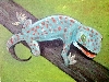 Werk 'Bitte lcheln,,,Gecko' von 'Diane Russo'