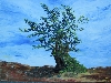 Werk 'Wilder Baum' von 'Gisela Olbrich'