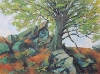Werk 'Sprieender Baum' von 'Thomas Stellmacher'