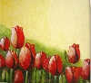 Werk 'Tulpen' von 'Mamur Markovic'