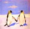 'Koenigs Pinguin1 ' in Vollansicht