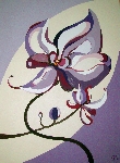 Orchideentraum 