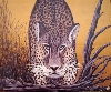 Werk 'Leopard' von 'Horst Rehmann'