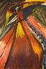 Werk 'Feuervogel (340 x 512) ' von ' Tausendgrn'