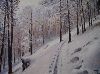 footsteps in the snow von ellen fasthuber-huemer