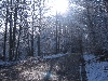 'Winter - inverno IMG 0020' in Vollansicht