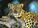 'leopard ' by 'rosi tretter'