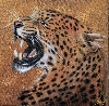 Werk 'Golden Jaguar' von 'Marcel Gerber'